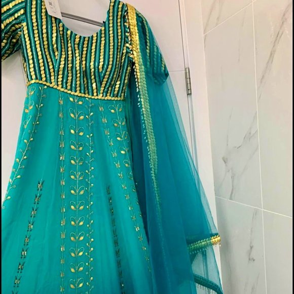 Anarkali/Indian Dress - Picture 1 of 2